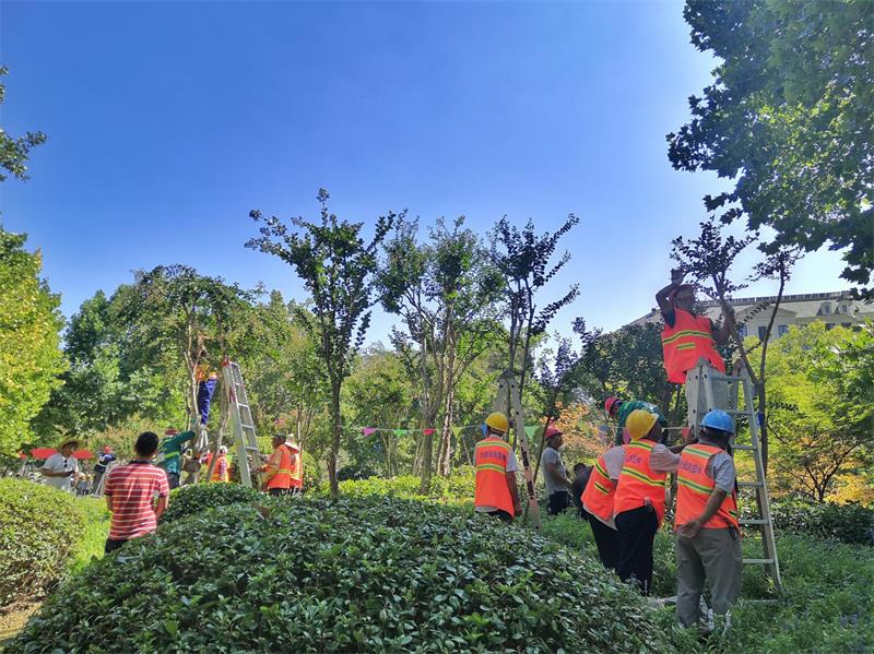 乐鱼web版登录入口承办全市住建系统园林绿化工职业技能大赛