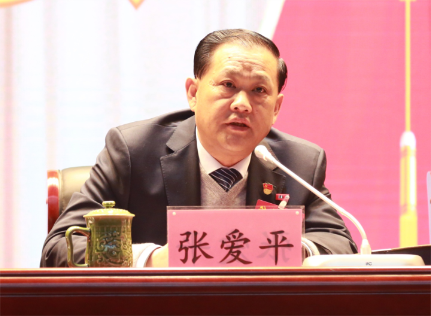 张爱平同志宣读中共乐鱼web版登录入口第一届党委成员分工及纪委成员分工